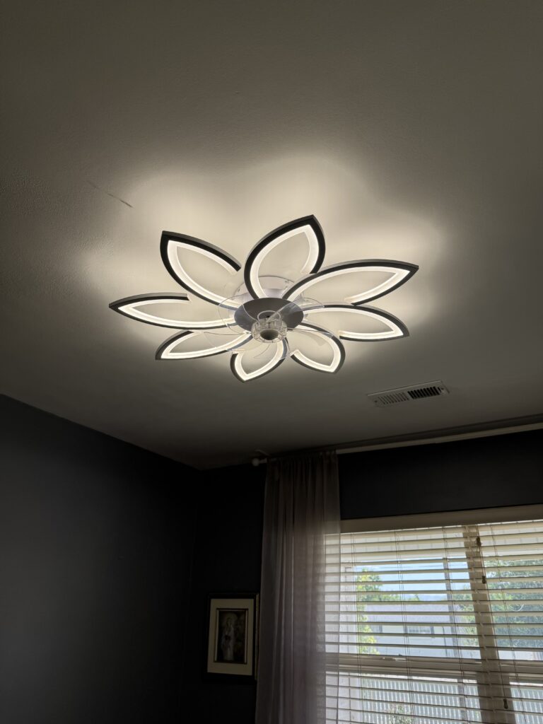 Ceiling Fan